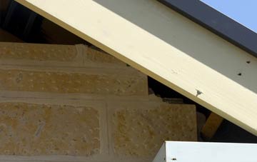 soffit repair Crickham